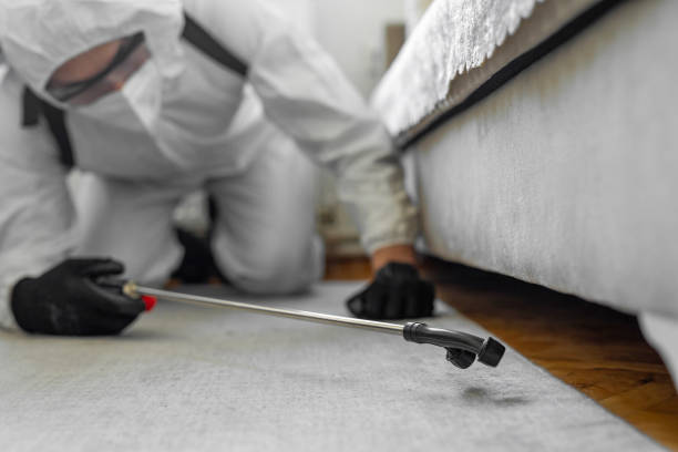 Professional Bed Bug Control technician working in New Buffalo, MI